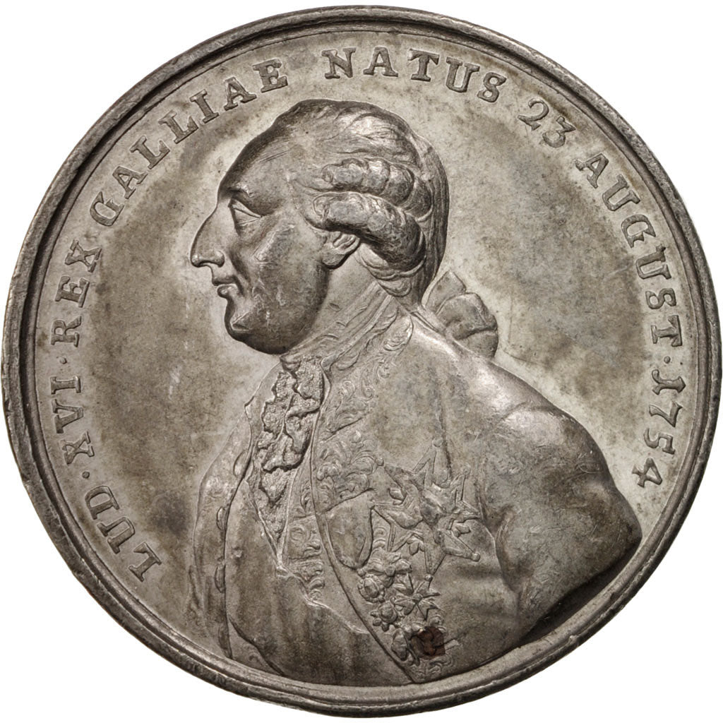 Frankreich, Medal, National Convention, History, 1793, SS+, Tin