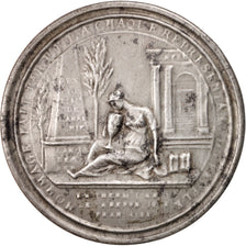 France, Medal, Sénat Français, National Convention, History, 1795, EF(40-45)