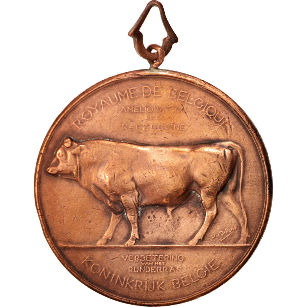 Belgique, Medal, Business & industry, 1905, TTB, Cuivre