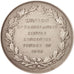 Francia, Medal, French Third Republic, Politics, Society, War, SPL-, Argento