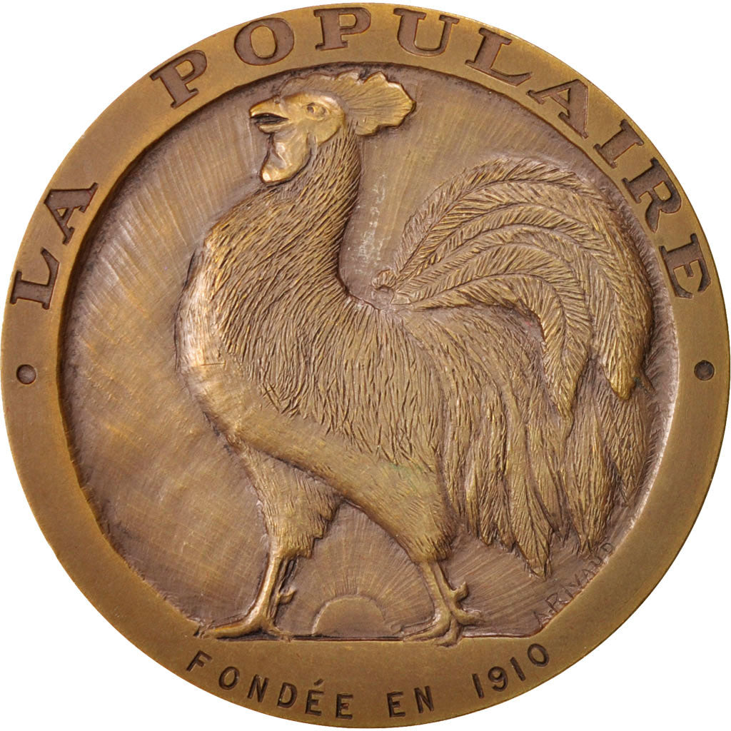 France, Medal, French Third Republic, Politics, Society, War, Rivaud, SUP