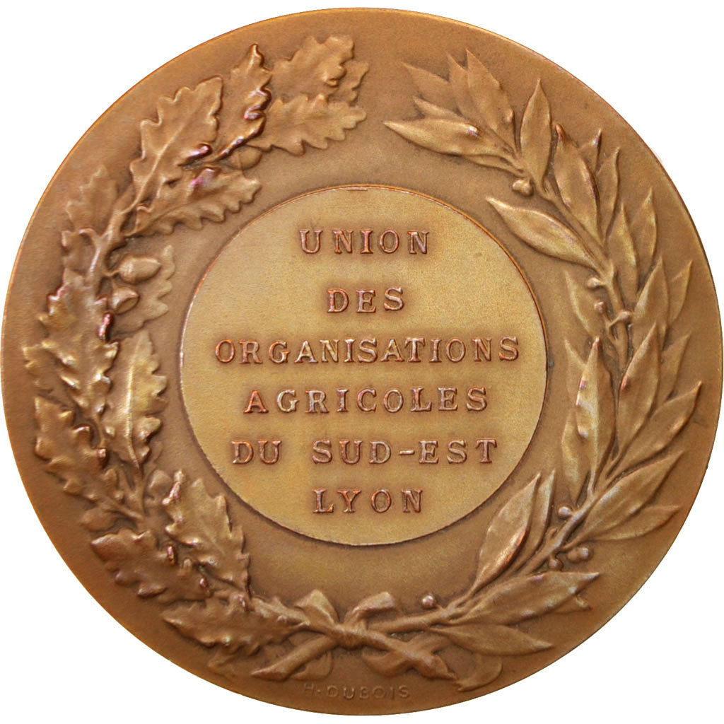 FRANCE, French Third Republic, Medal, AU(55-58), Oudiné, Bronze, 50, 62.00