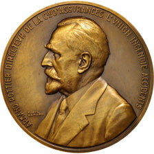 France, Medal, French Third Republic, 1933, Benard, AU(55-58), Bronze