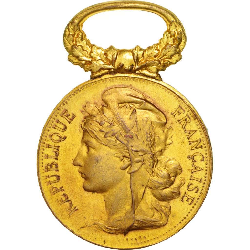 Frankrijk, Medal, French Third Republic, Politics, Society, War, PR, Bronze