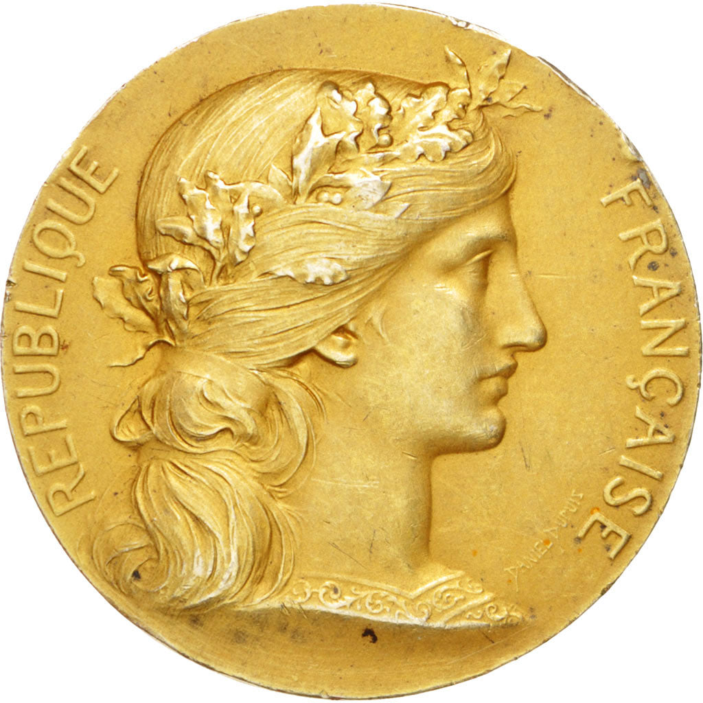 France, Medal, French Third Republic, Business & industry, Dupuis.D, AU(50-53)