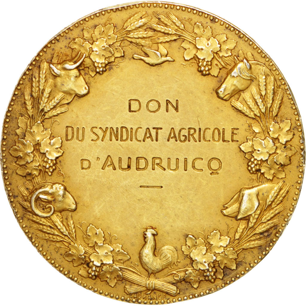 France, Medal, French Third Republic, Business & industry, Dupuis.D, AU(50-53)