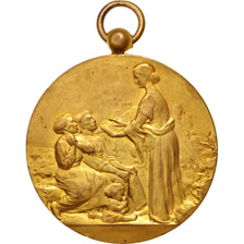 Frankreich, Medal, French Third Republic, Politics, Society, War, SS, Bronze