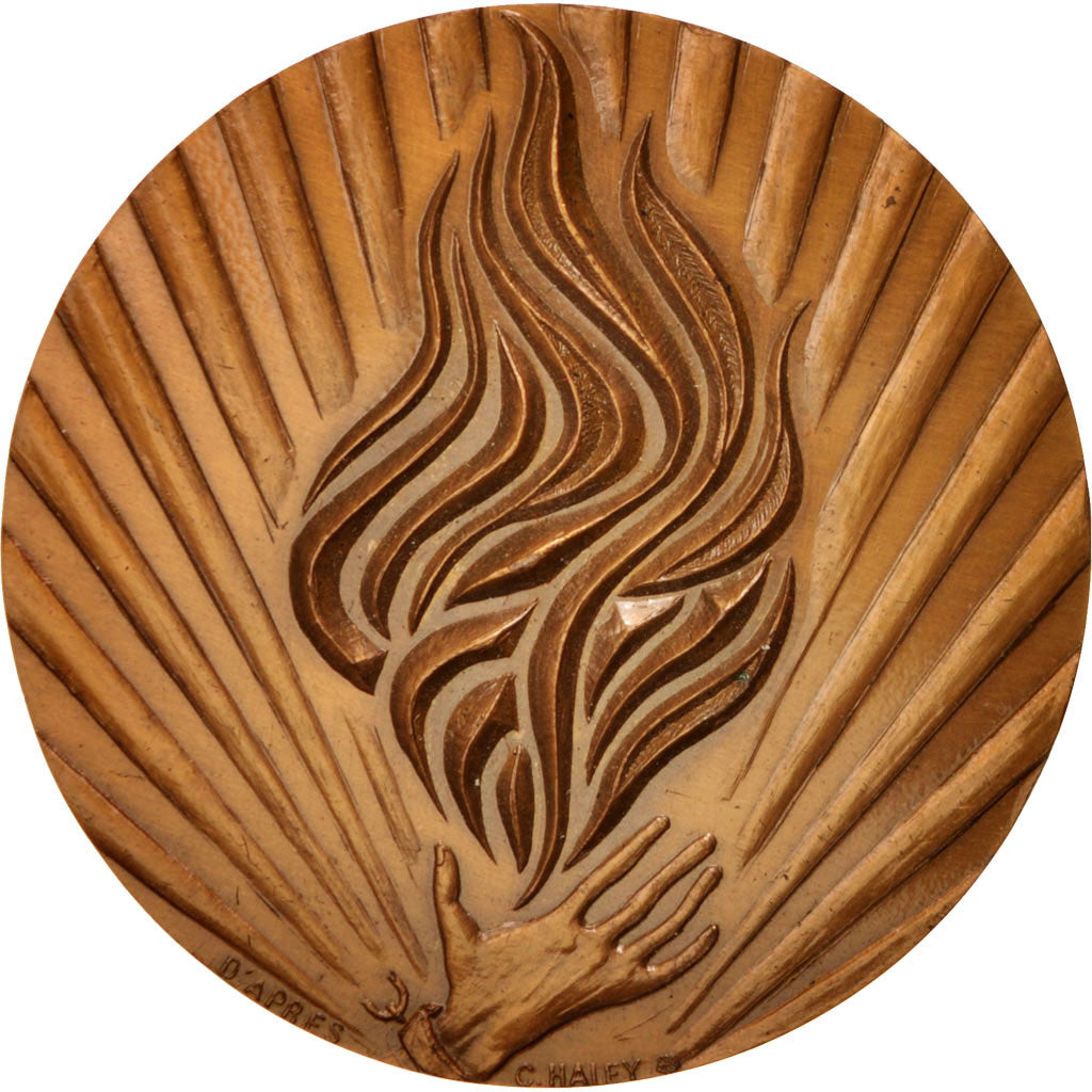 Francia, Medal, French Fifth Republic, Politics, Society, War, SPL-, Bronzo