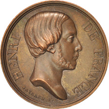 Henri V, Comte de Chambord, Jeton