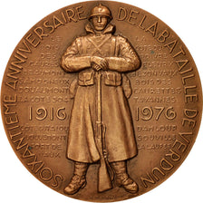 Francia, Medal, French Fifth Republic, History, 1976, Delamarre, EBC+, Bronce