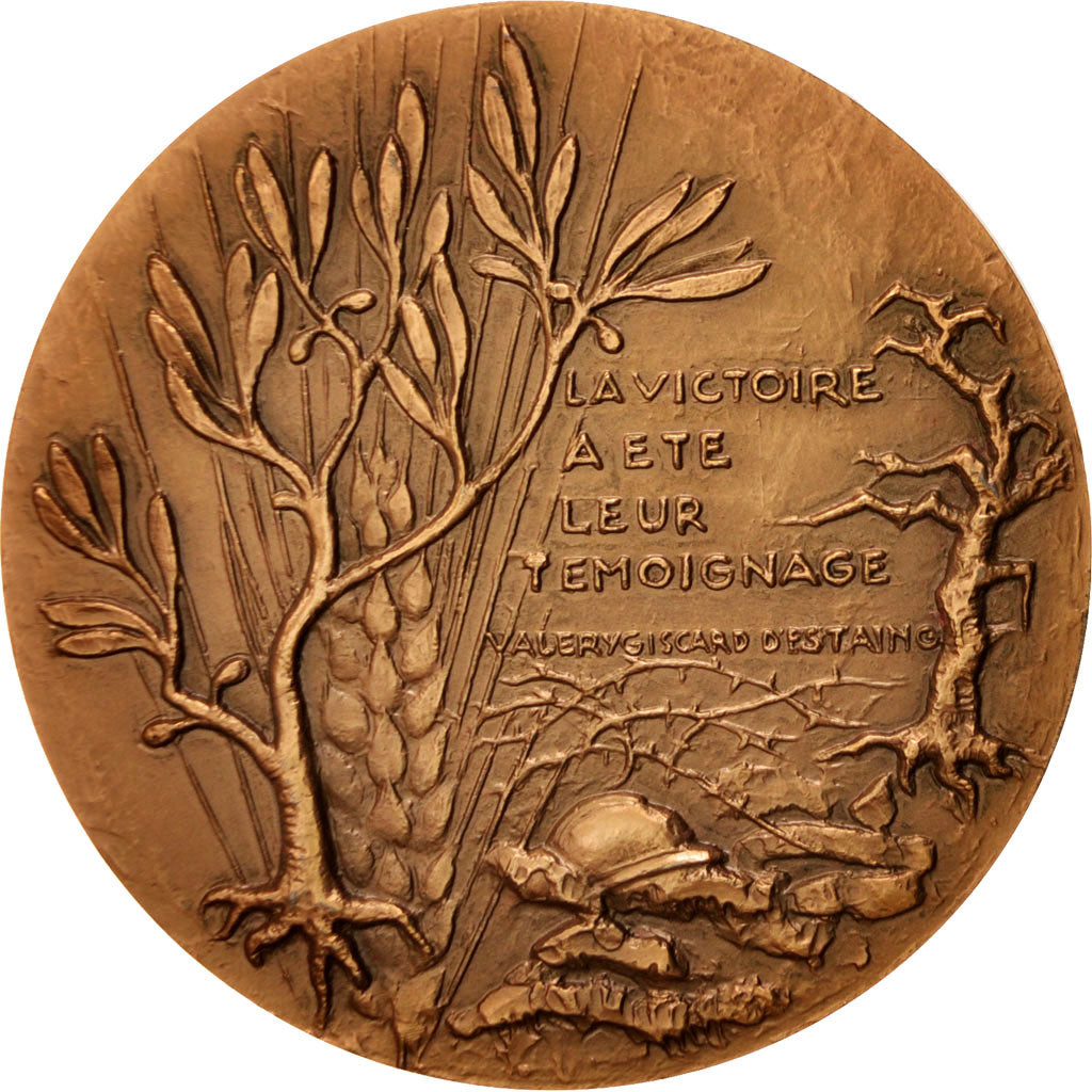 Francia, Medal, French Fifth Republic, History, 1976, Delamarre, EBC+, Bronce