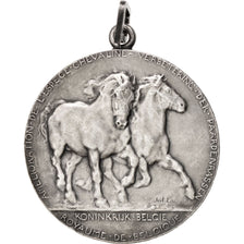 Belgium, Sciences & Technologies, Medal, 1906, AU(50-53), Lay, Silver, 45