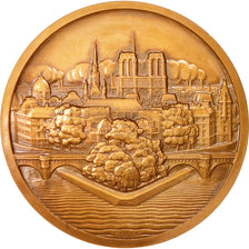 France, Medal, History, 1927, Turin, SUP, Bronze