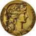 France, Medal, French Third Republic, Arts & Culture, Dupuis.D, AU(50-53)