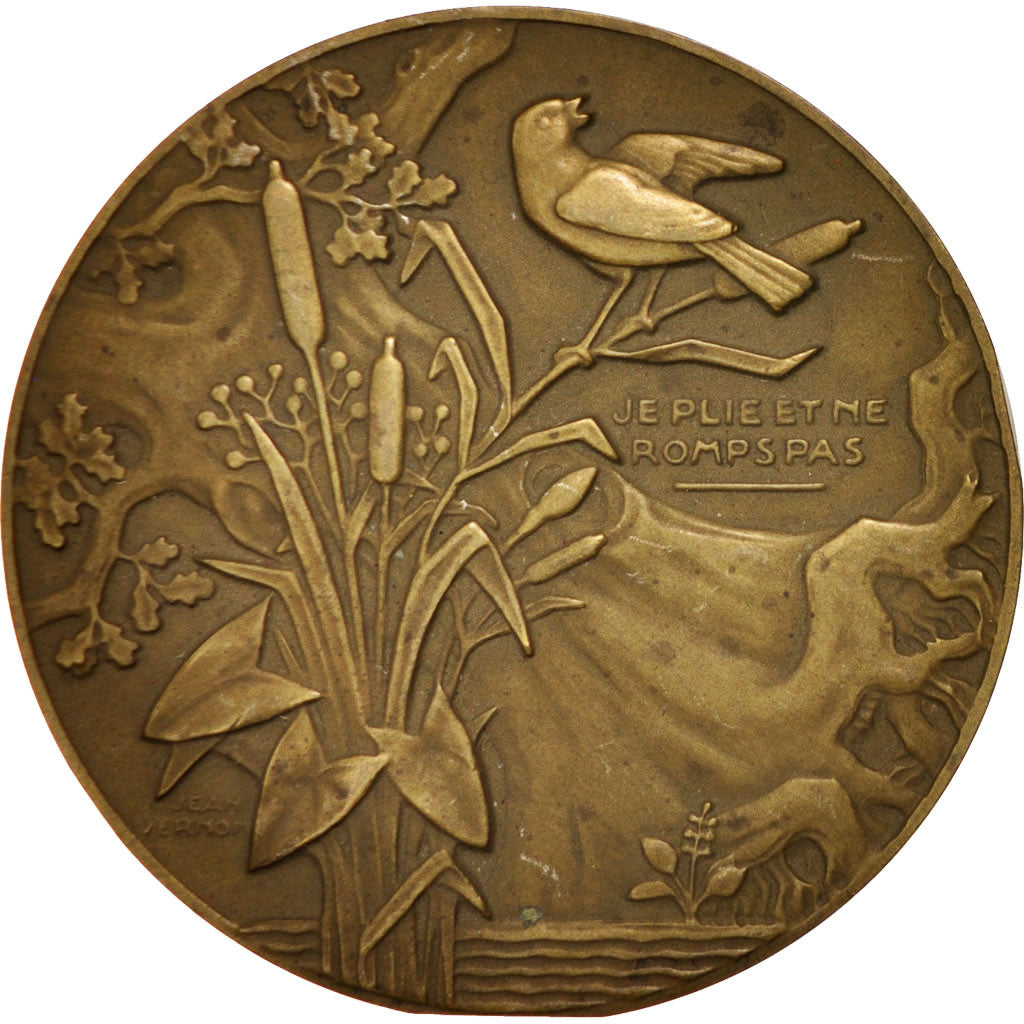 France, Medal, Je plie et ne romps pas, AU(55-58), Vernon, Bronze, 58mm