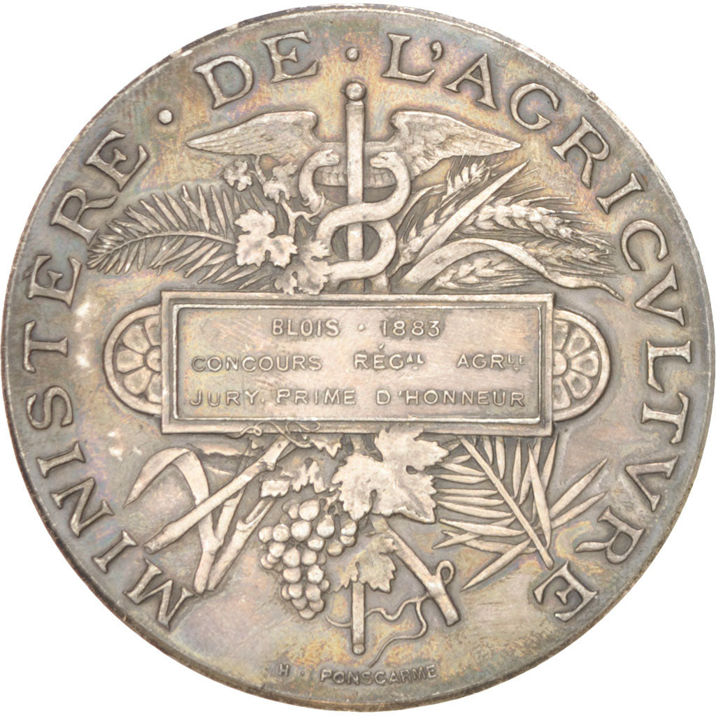 France, French Third Republic, Business & industry, Blois, Medal, 1883, 51mm
