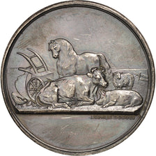 France, Nièvre farming society, Medal, 1874, AU(50-53), 37mm