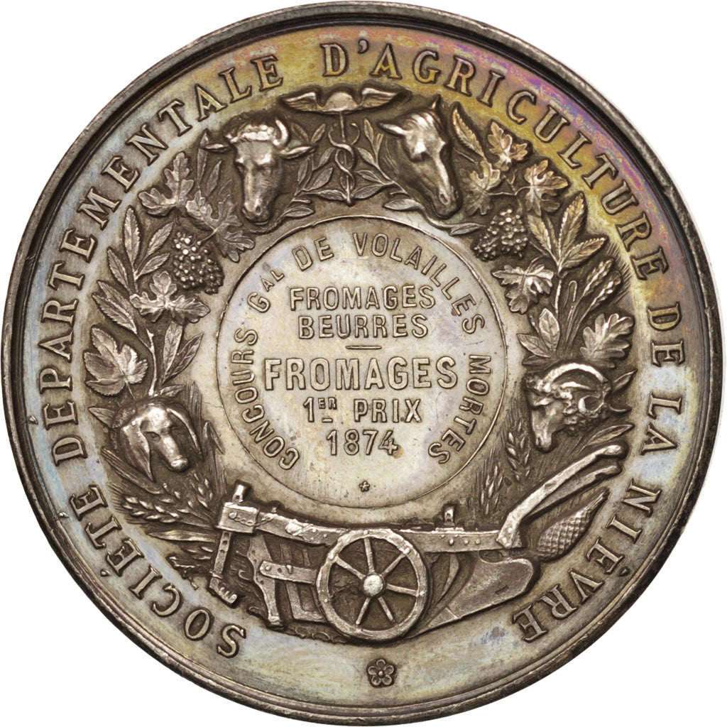 France, Nièvre farming society, Medal, 1874, AU(50-53), 37mm