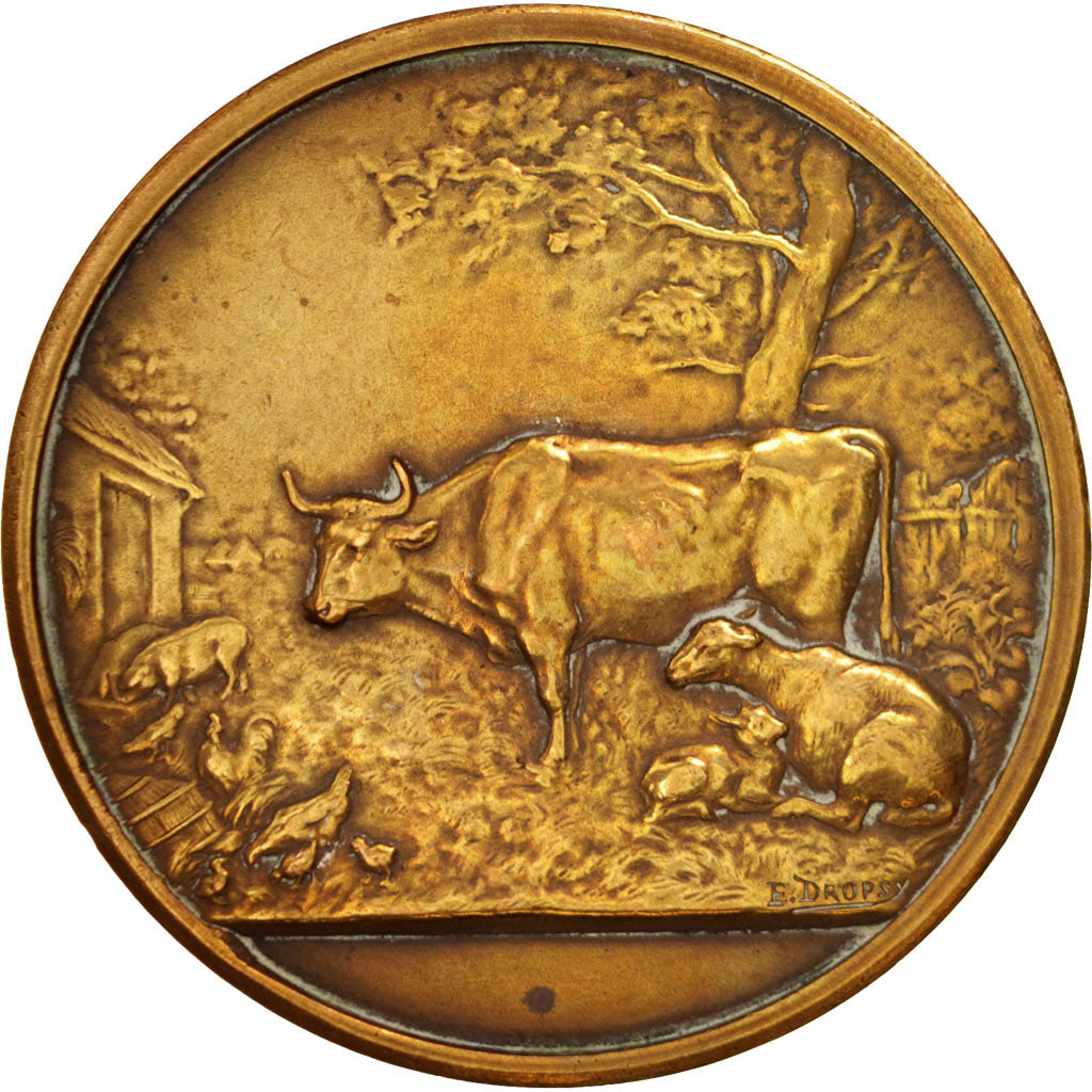 Francia, Medal, Business & industry, Dropsy, BB, Bronzo