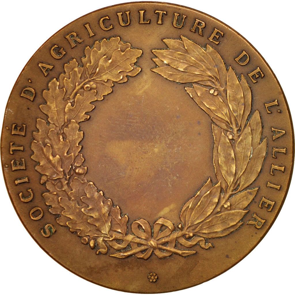 Francia, Medal, Business & industry, Dropsy, BB, Bronzo