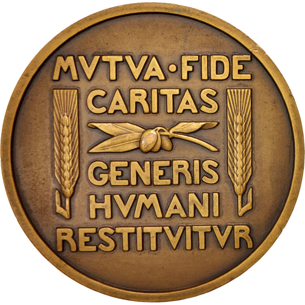 France, Medal, History, 1925, Turin, AU(50-53), Bronze