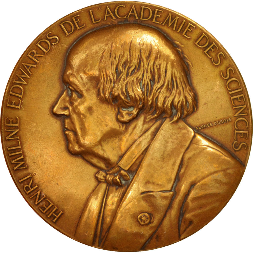 France, Medal, Sciences & Technologies, 1880, Dubois.A, AU(50-53), Bronze