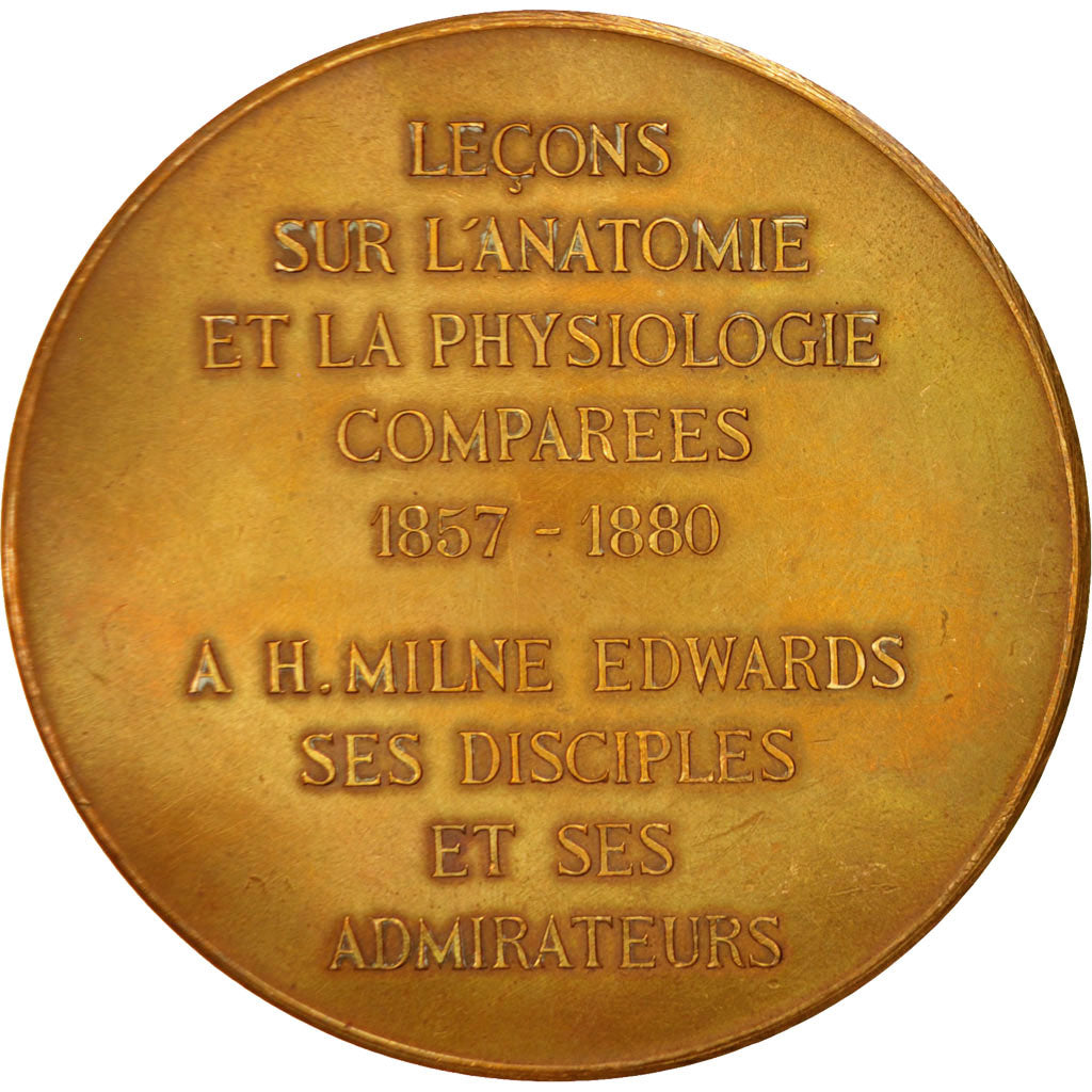 France, Medal, Sciences & Technologies, 1880, Dubois.A, AU(50-53), Bronze