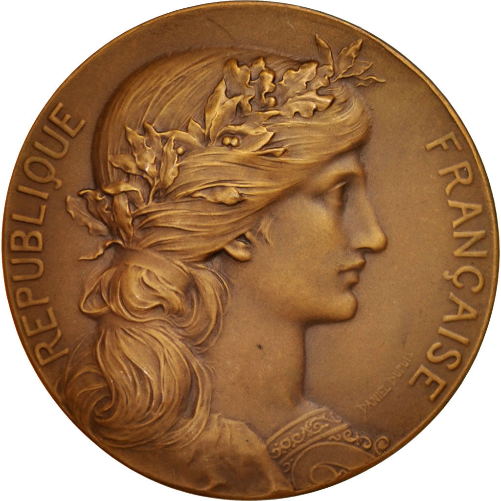 France, Medal, French Third Republic, Medicine, 1903, Dupuis.D / Dubois.H, SUP