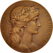 France, Medal, French Third Republic, Medicine, 1903, Dupuis.D / Dubois.H, SUP