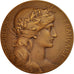 France, Medal, French Third Republic, Medicine, 1903, Dupuis.D / Dubois.H, SUP