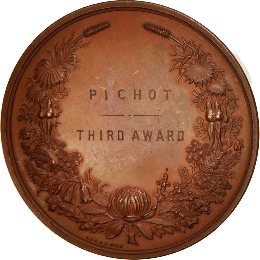 Australia, Sydney International exhibition by Wyon, Medal, 1879, AU(55-58), 81mm