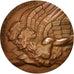 France, Medal, Aviation, AU(55-58), Bronze