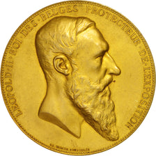 Belgium, Medal, Sciences & Technologies, 1885, Wiener, AU(55-58), Bronze