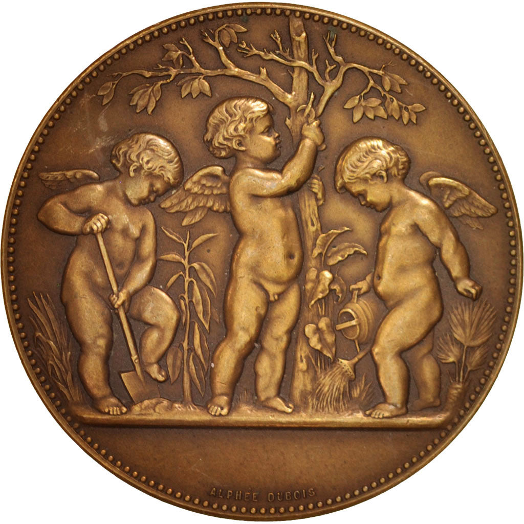 France, Medal, Flora, 1902, Dubois.A, AU(55-58), Bronze