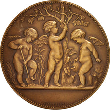 France, Medal, Flora, 1902, Dubois.A, AU(55-58), Bronze