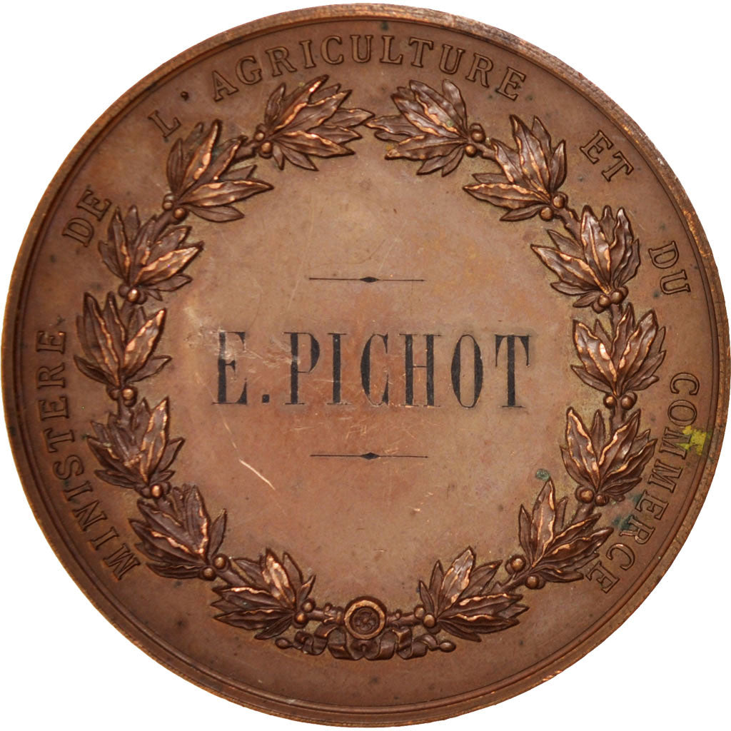 France, Medal, 1876, AU(50-53), Copper