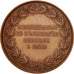 France, Medal, Medicine, 1873, AU(55-58), Copper