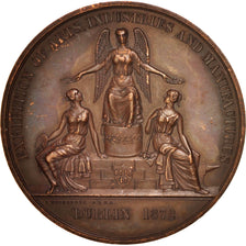 Ireland, Dublin's exhibition of arts, industries and manufactures, Medal, 1872