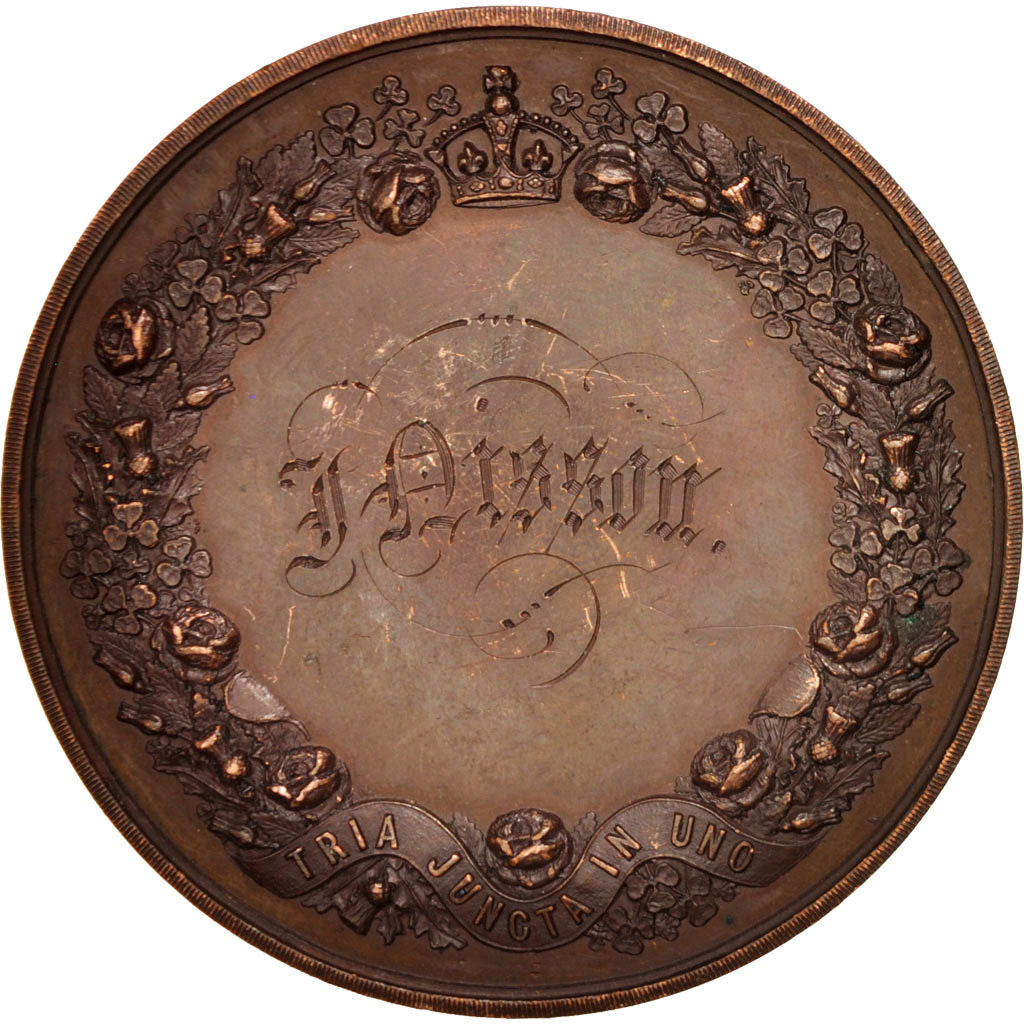 Ireland, Dublin's exhibition of arts, industries and manufactures, Medal, 1872