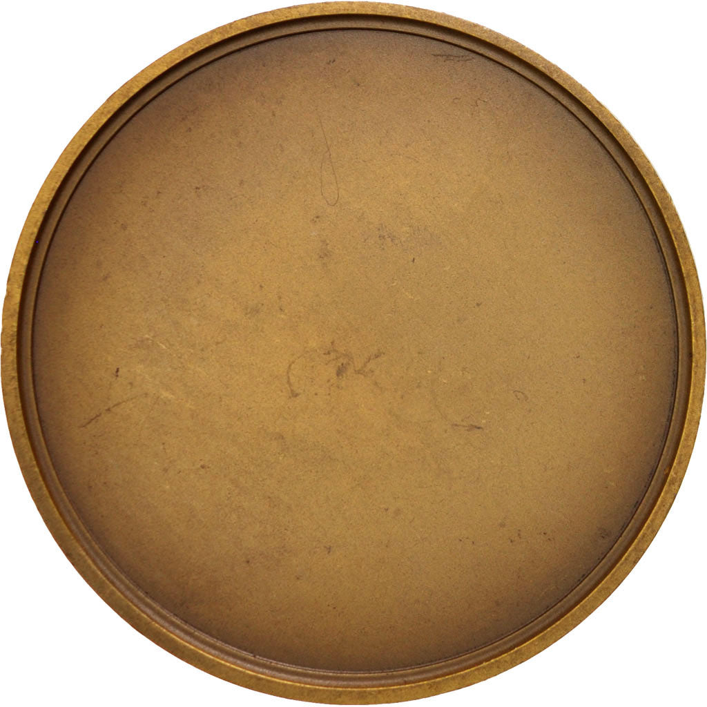 Francia, Medal, Politics, Society, War, Desvignes, SPL-, Bronzo