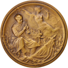 France, French inventor Association, Medal, AU(55-58), Bronze, 49mm