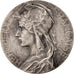 France, French Third Republic, Politics, Society, War, Rivet, Medal, 41mm