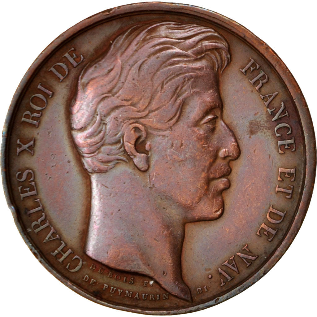 France, Medal, Charles X, History, 1827, AU(50-53), Copper