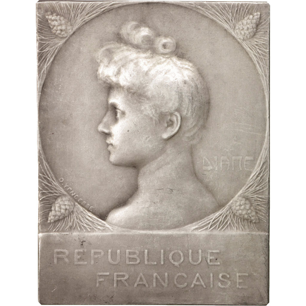 France, Poaching suppression, Fauna, Medal, , AU(50-53), Yencesse