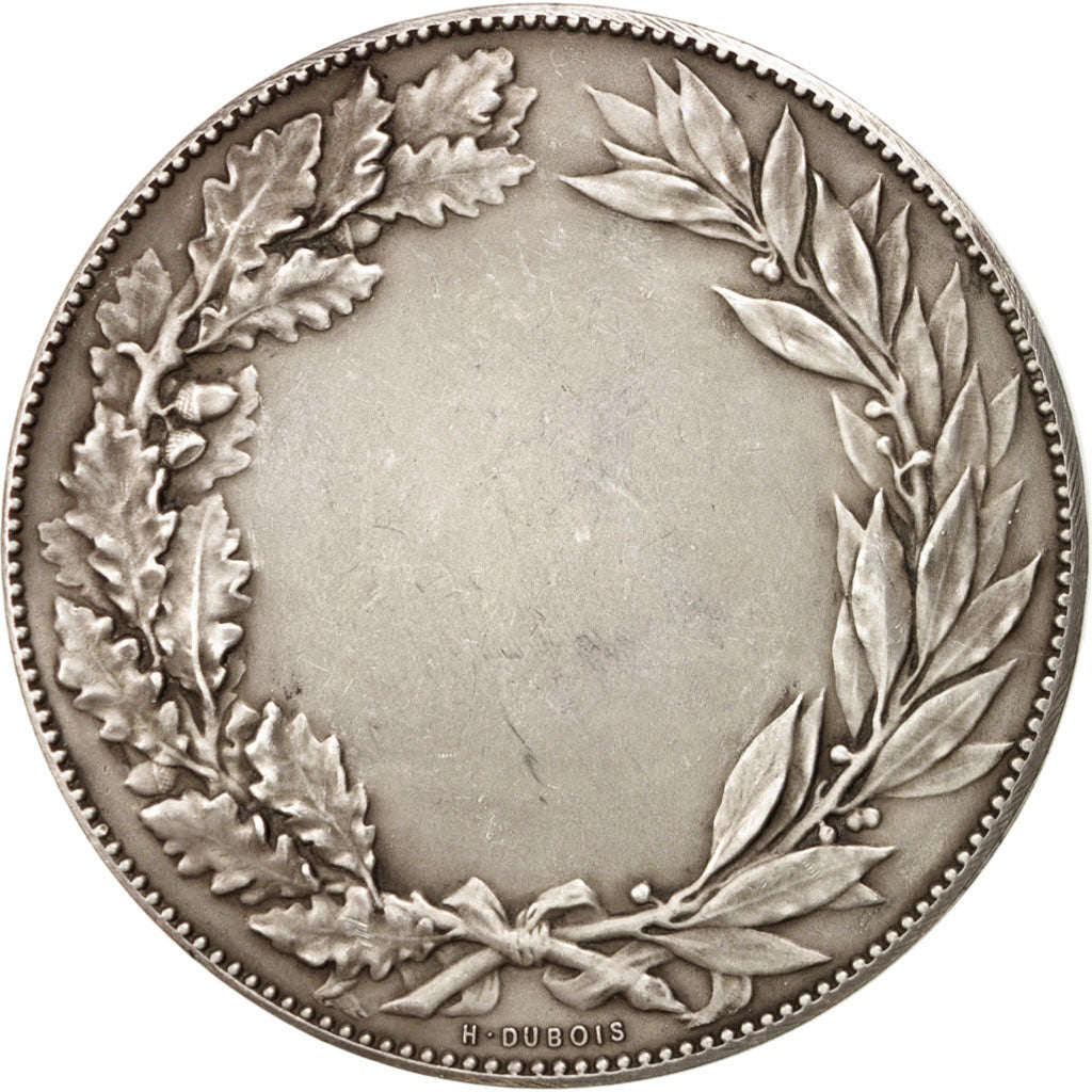 Francia, Medal, French Third Republic, Geography, Dubois.A, SPL-, Bronzo