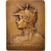 France, French Third Republic, History, Medal, AU(55-58), Rasumny, 45x60mm