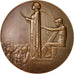 Autriche, Medal, Arts & Culture, 1911, TTB+, Bronze