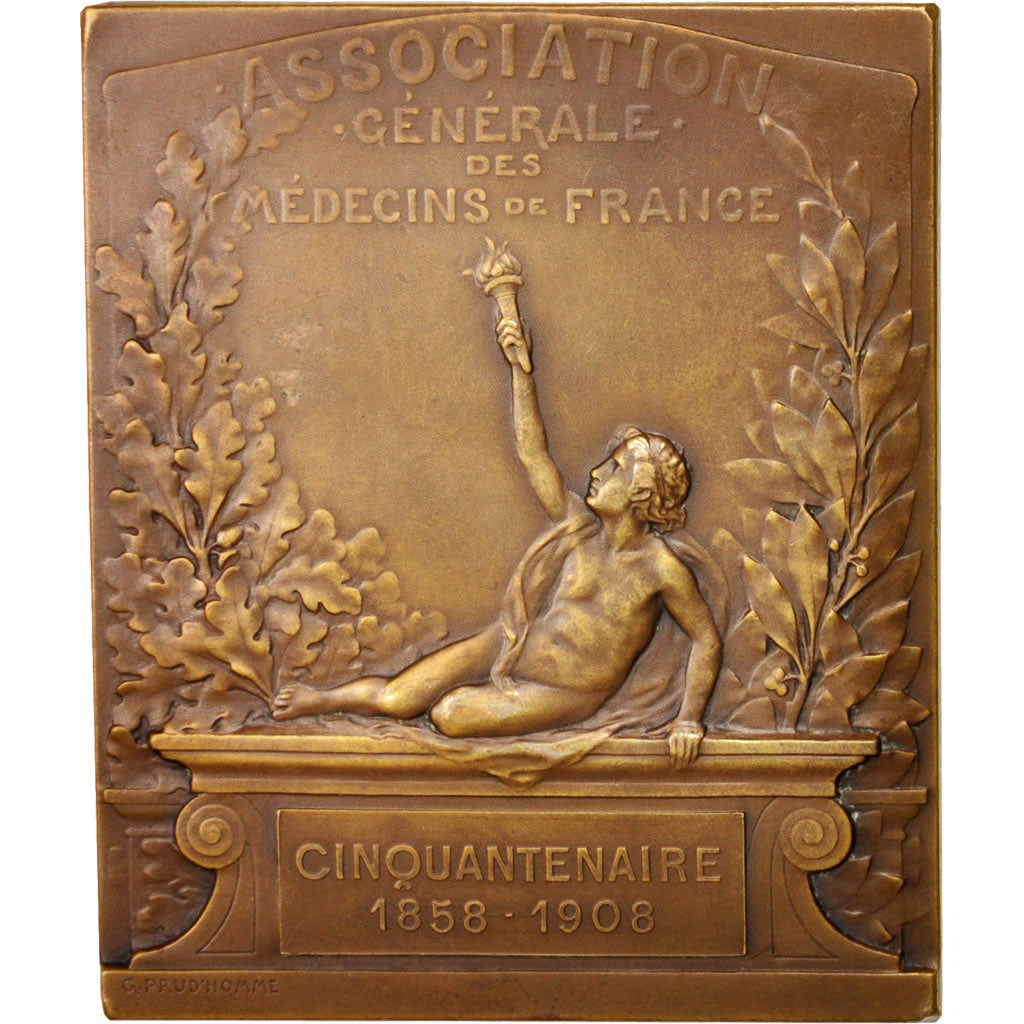 Francia, Medal, Medicine, 1908, Prud'homme.G, SPL-, Bronzo