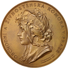 Czech Republic, Medal, History, AU(55-58), Bronze