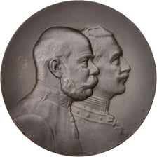 Austria, Franz Joseph & Wilhelm II, Medal, 1914-1918, AU(55-58), Tin, 50mm